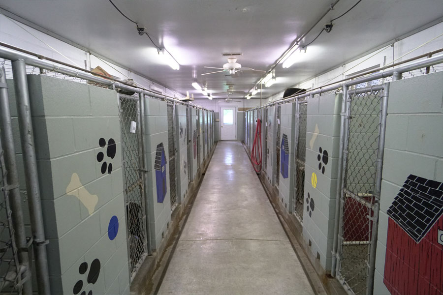 indoor dog boarding kennels