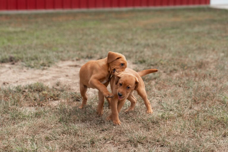 09-10 Sorensons-103 (1)