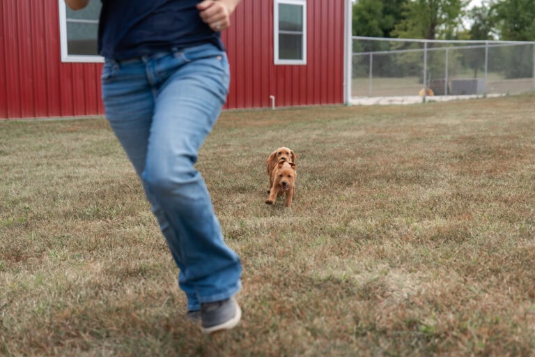 09-10 Sorensons-105 (1)