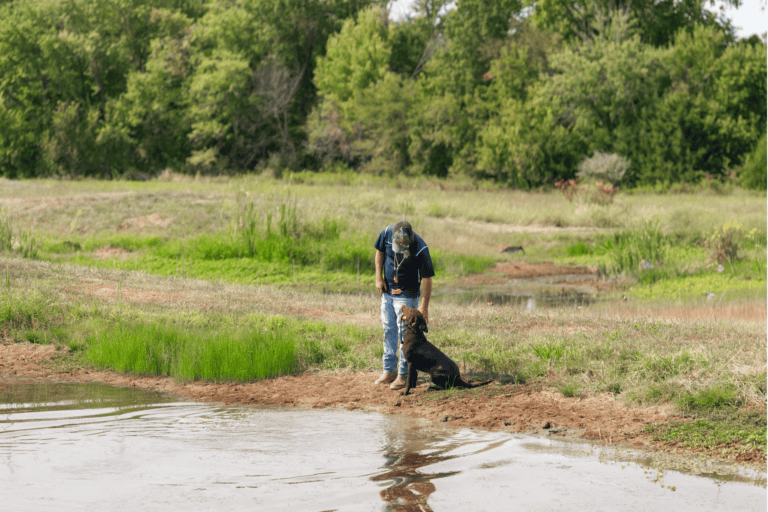 sorenson-kennels-employee-petting-dog